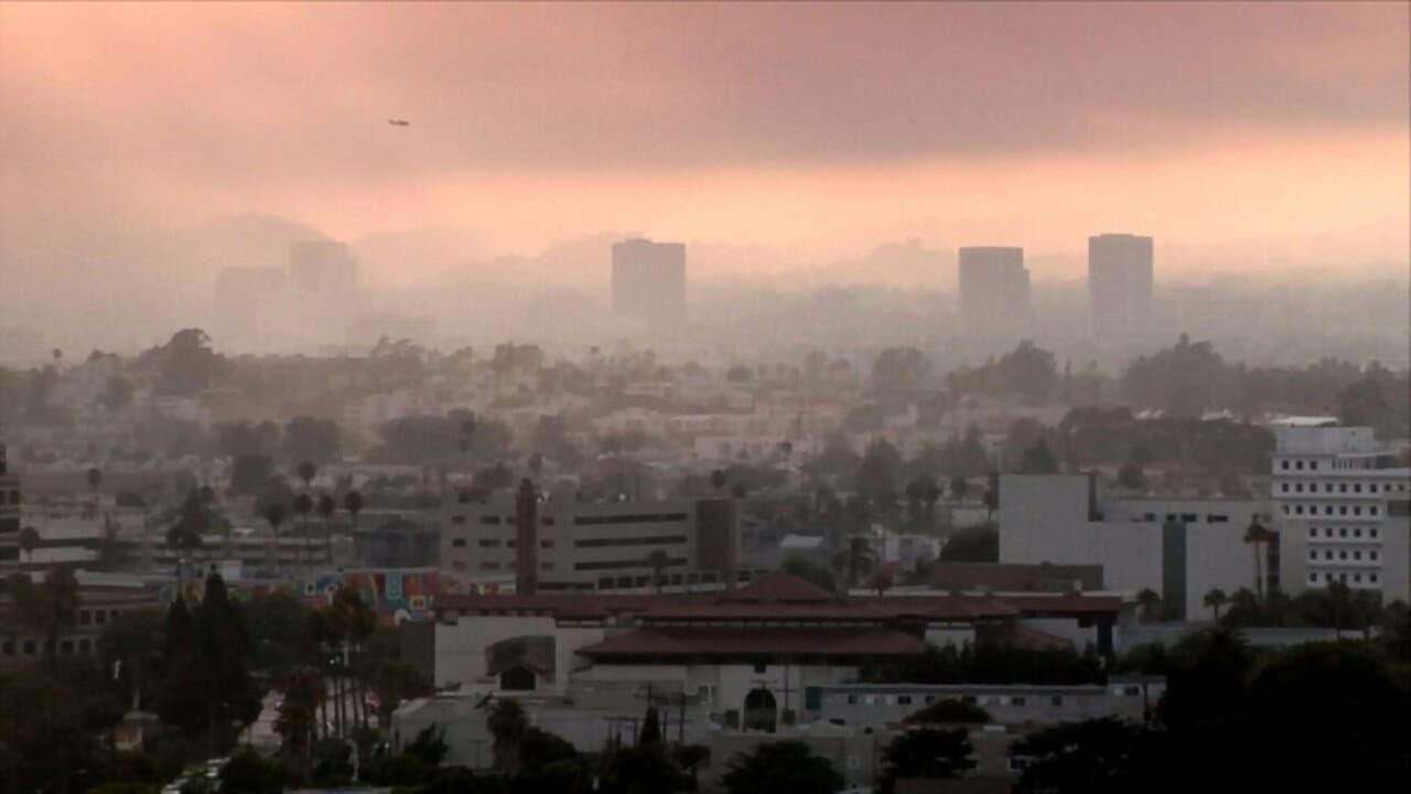 Cambio de sentido Backdrop