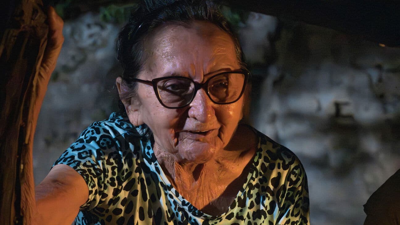 Yellow Cake Backdrop