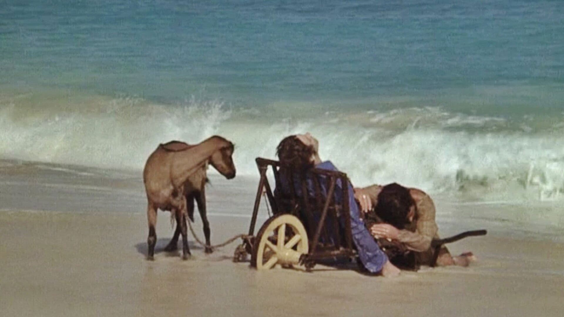 I Will Walk Like a Crazy Horse Backdrop