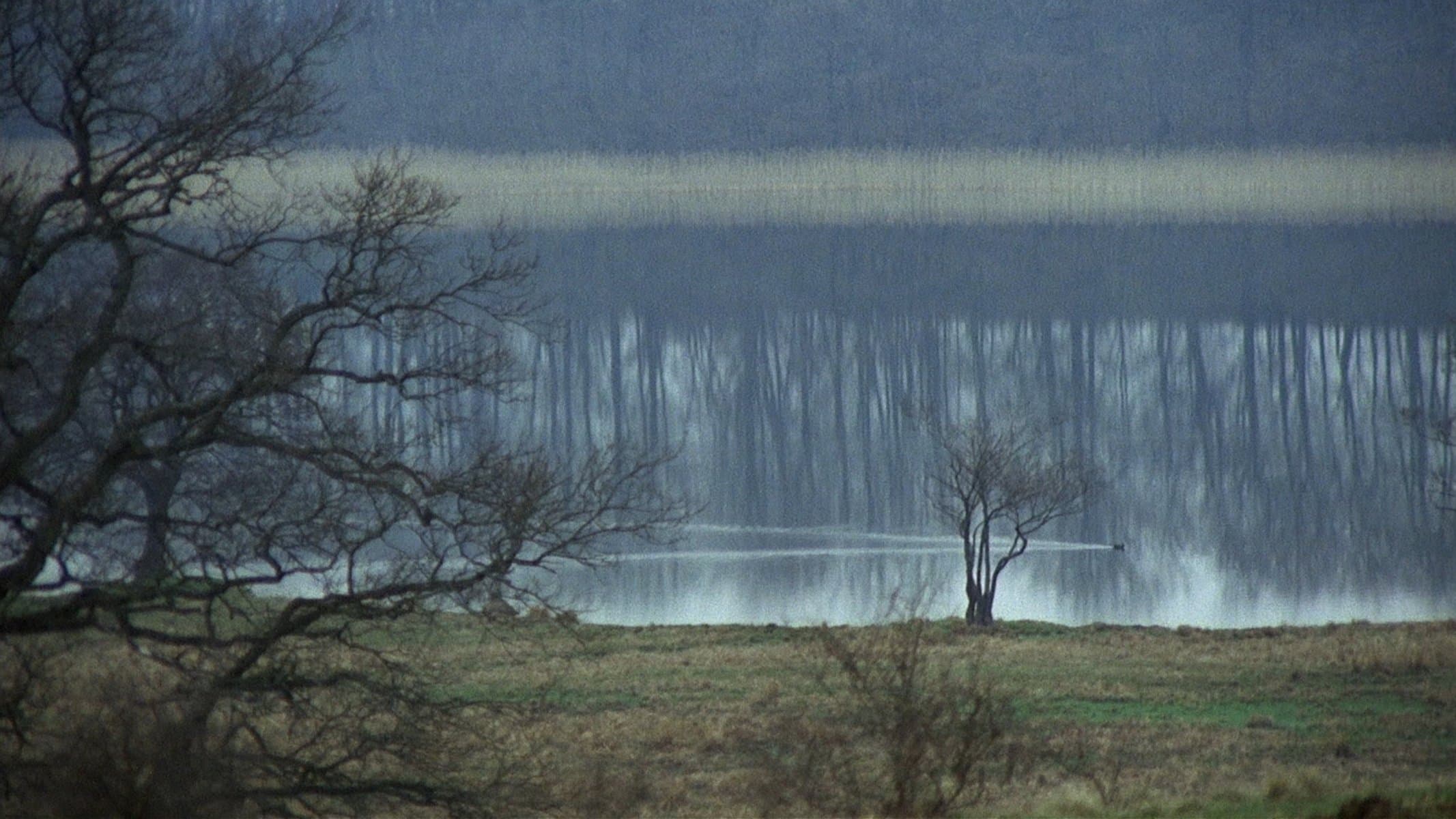 The New Land Backdrop