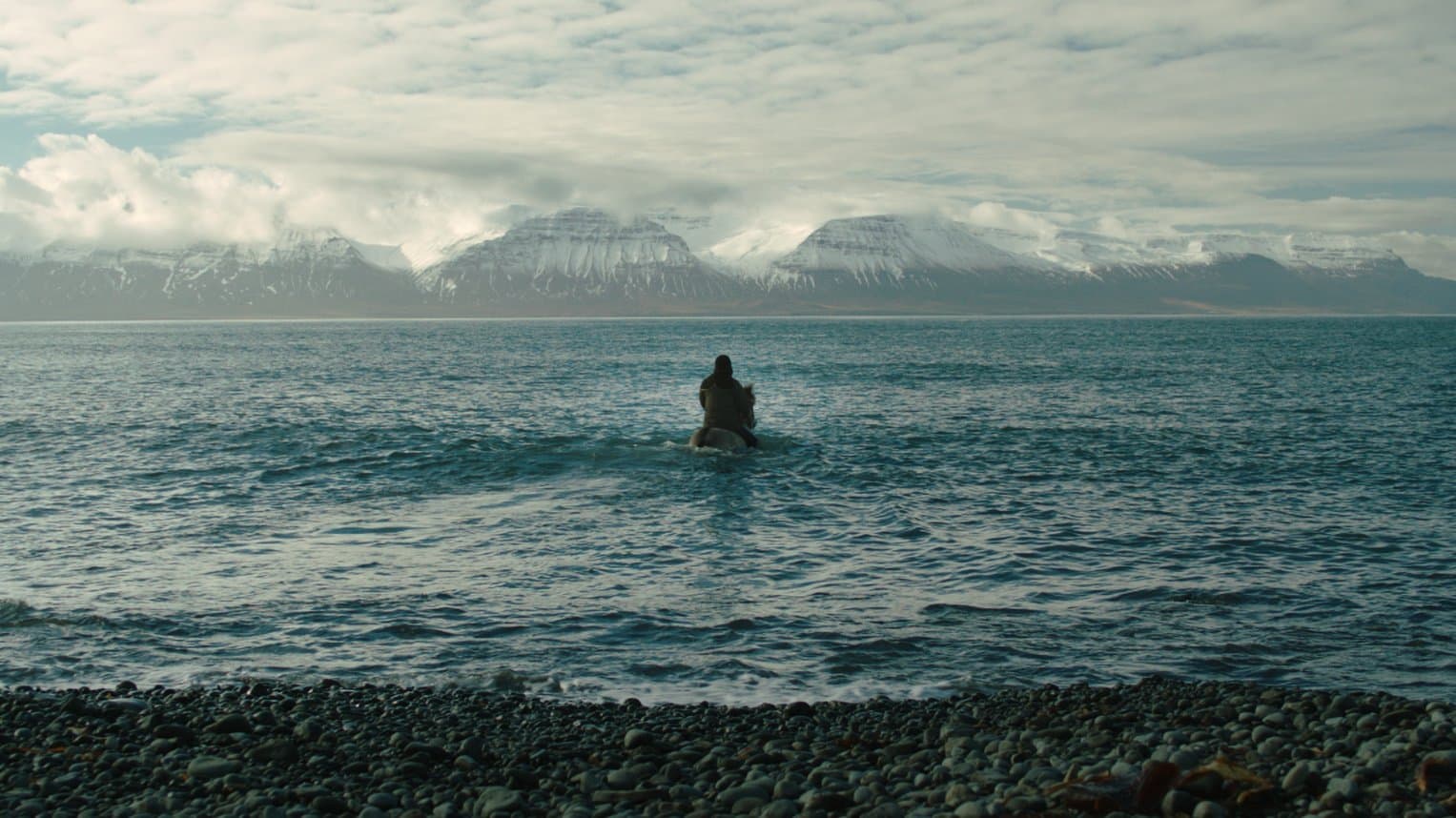 Of Horses and Men Backdrop