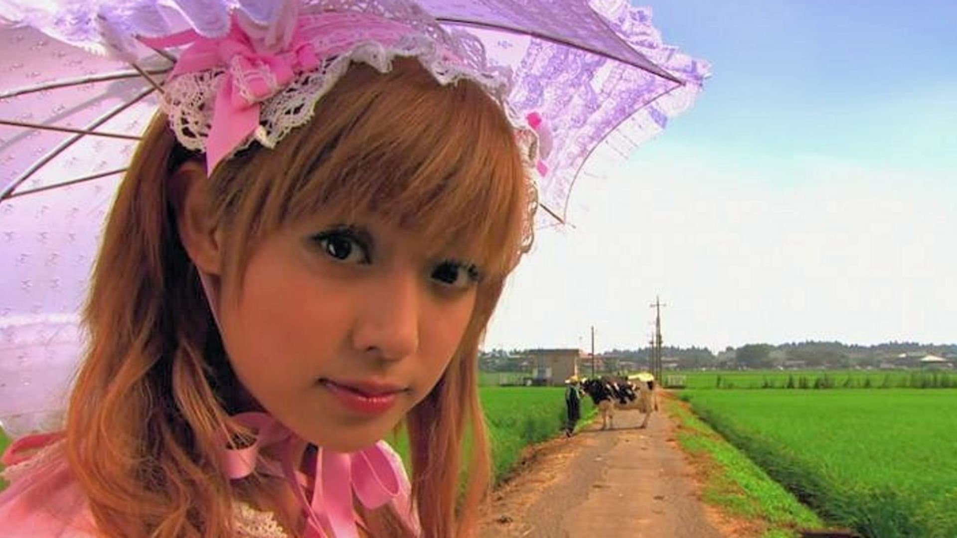 Kamikaze Girls Backdrop