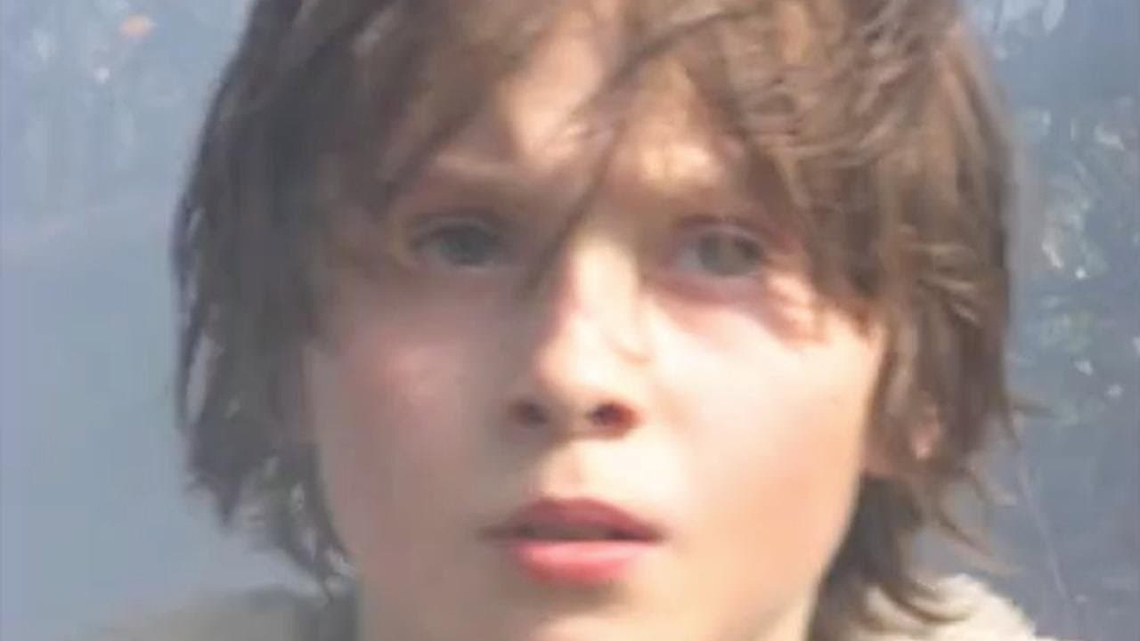 The Vampire Attack Backdrop