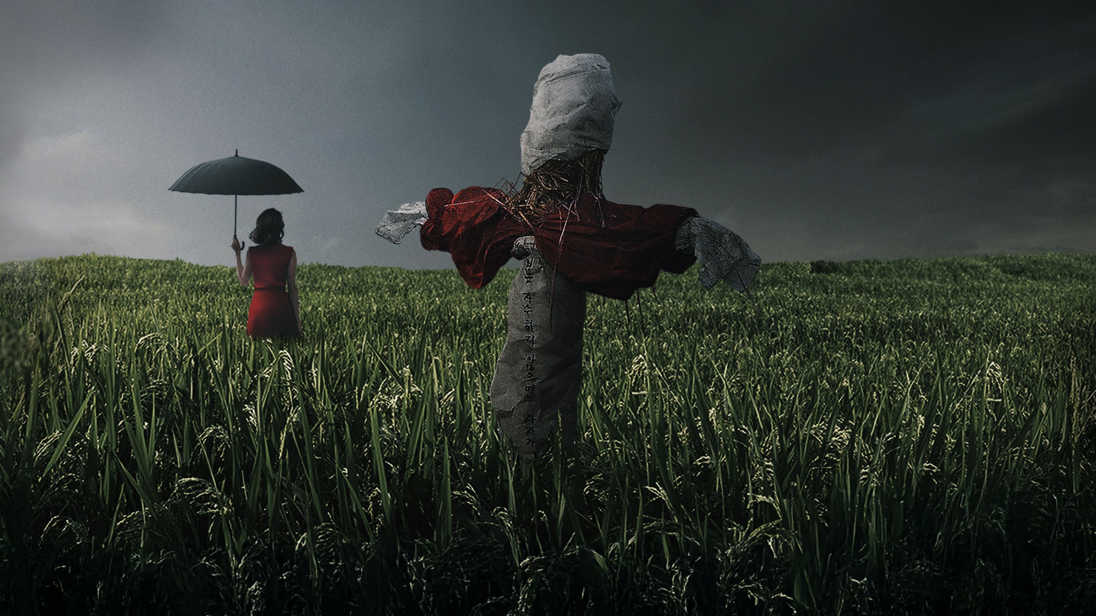 Memories of Murder Backdrop