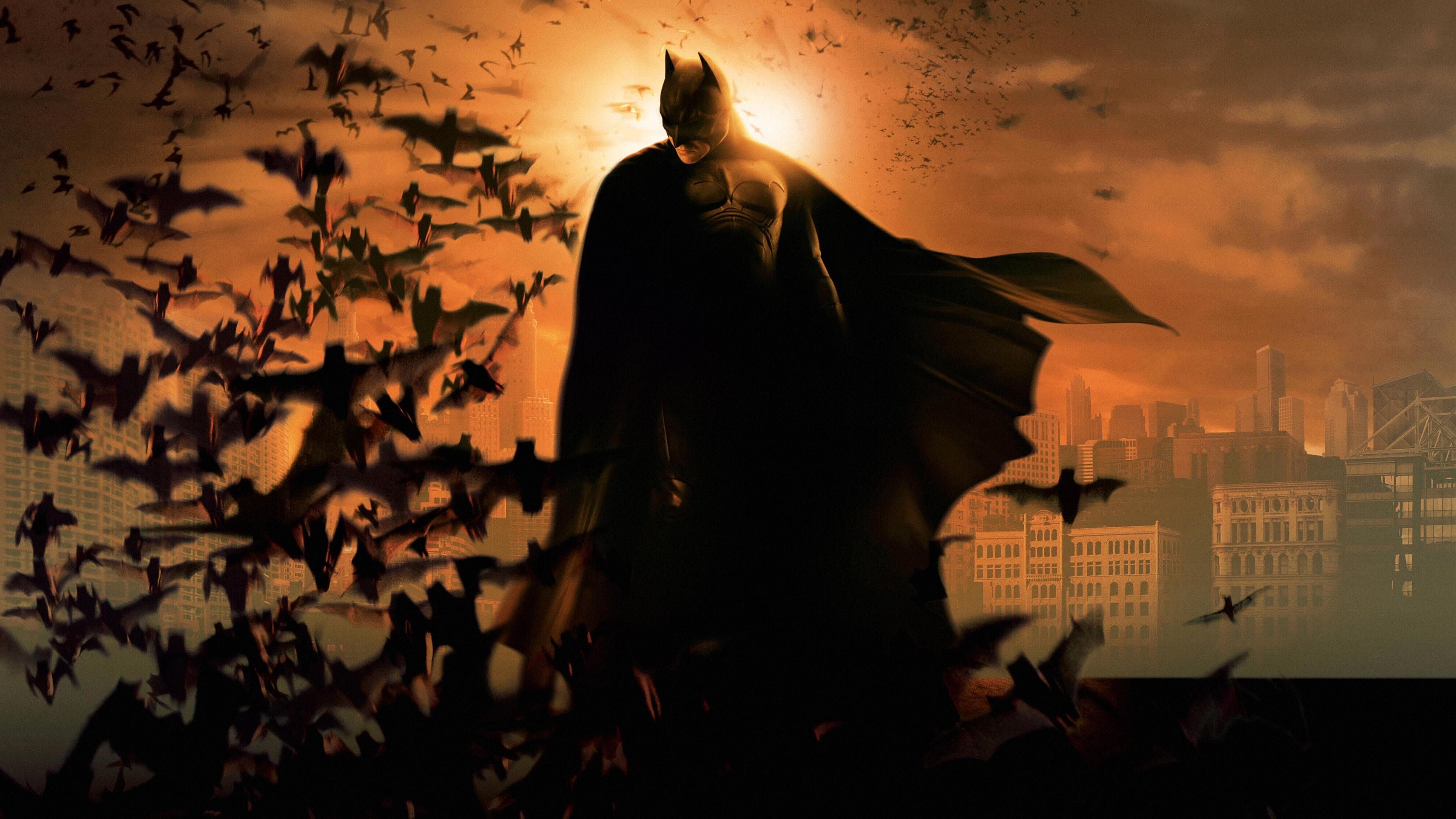 Batman Begins Backdrop