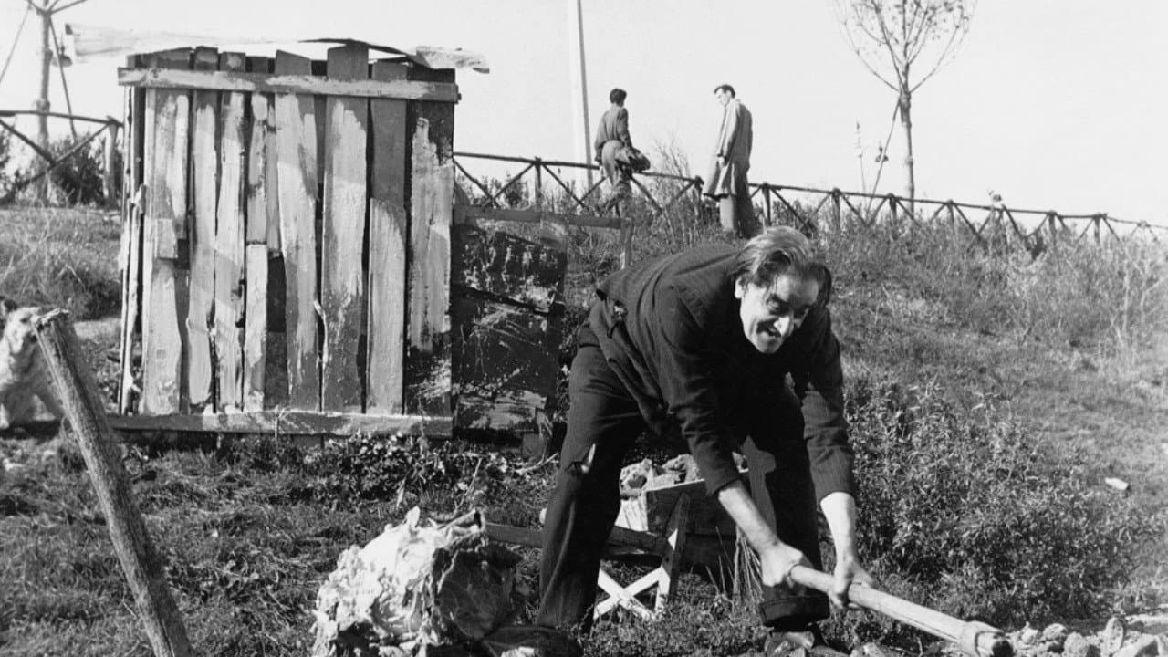 At the Edge of the City Backdrop