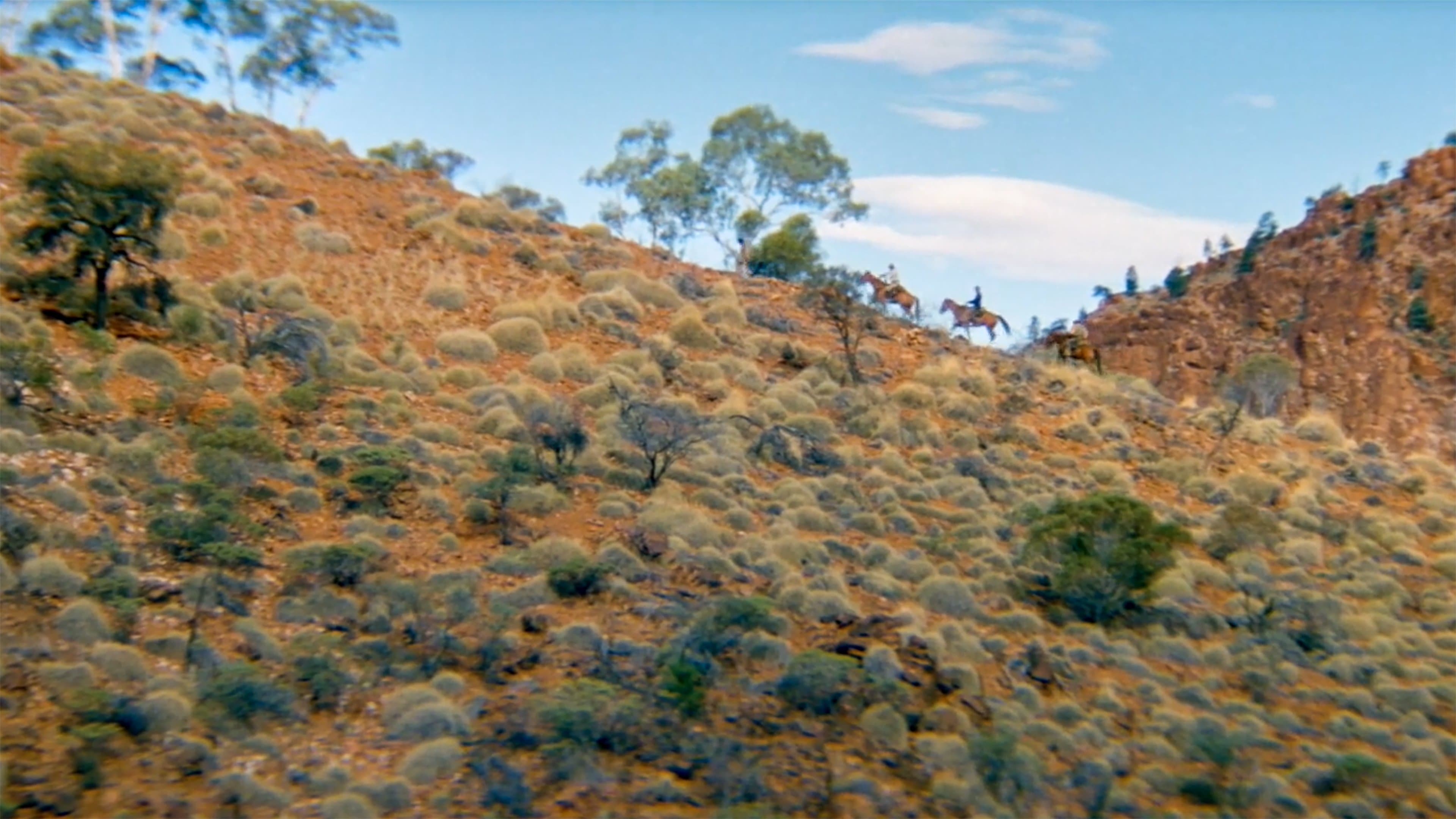 The Tracker Backdrop