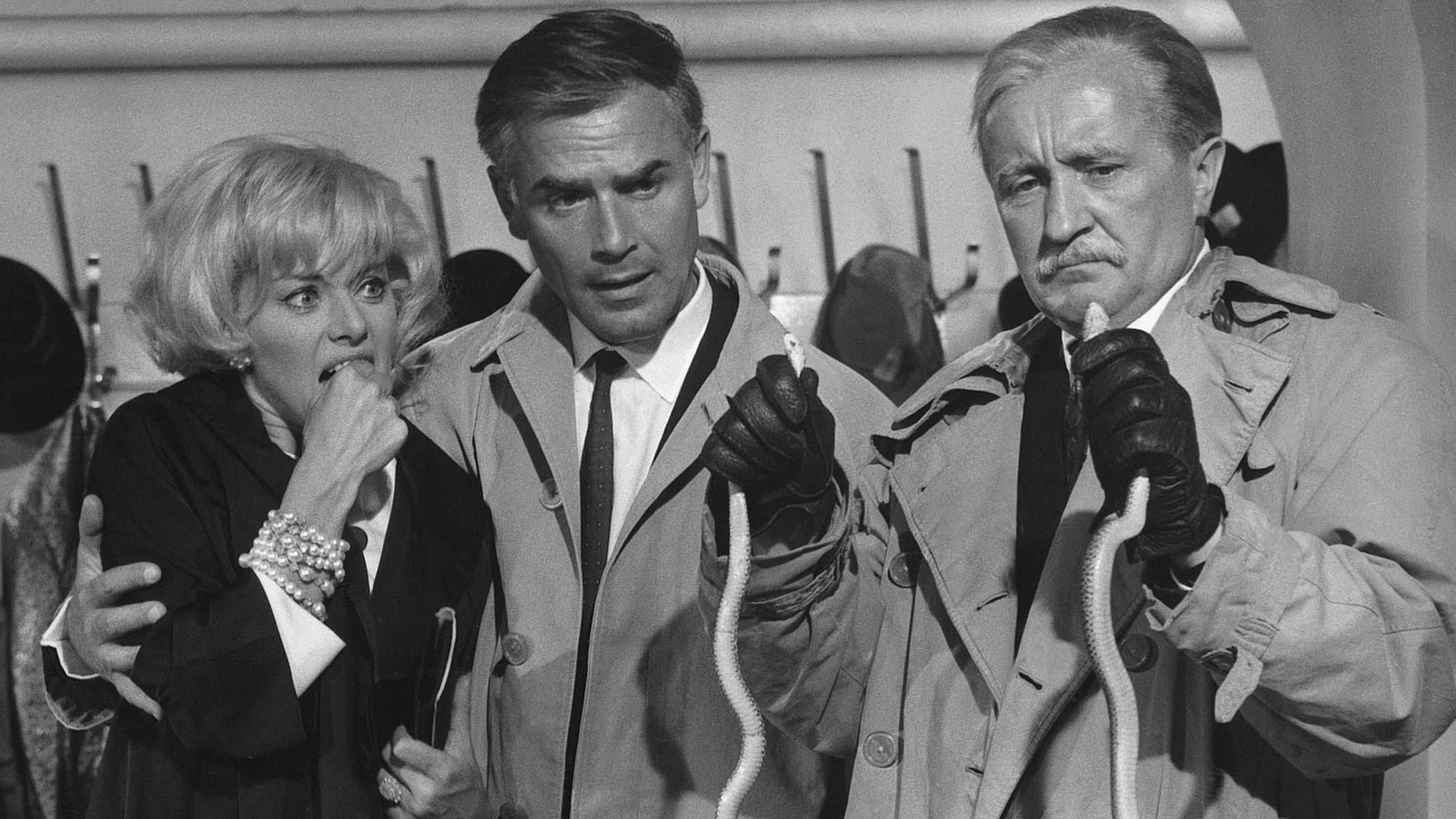 The Mysterious Magician Backdrop