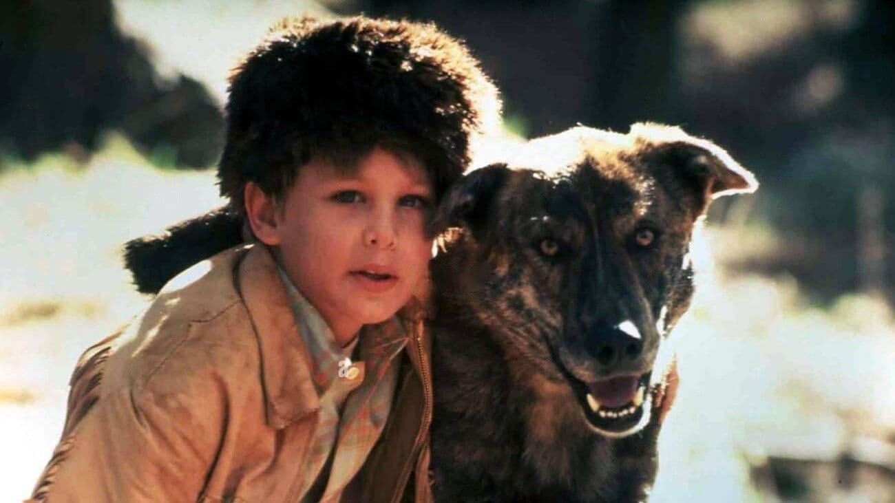 Rugged Gold Backdrop