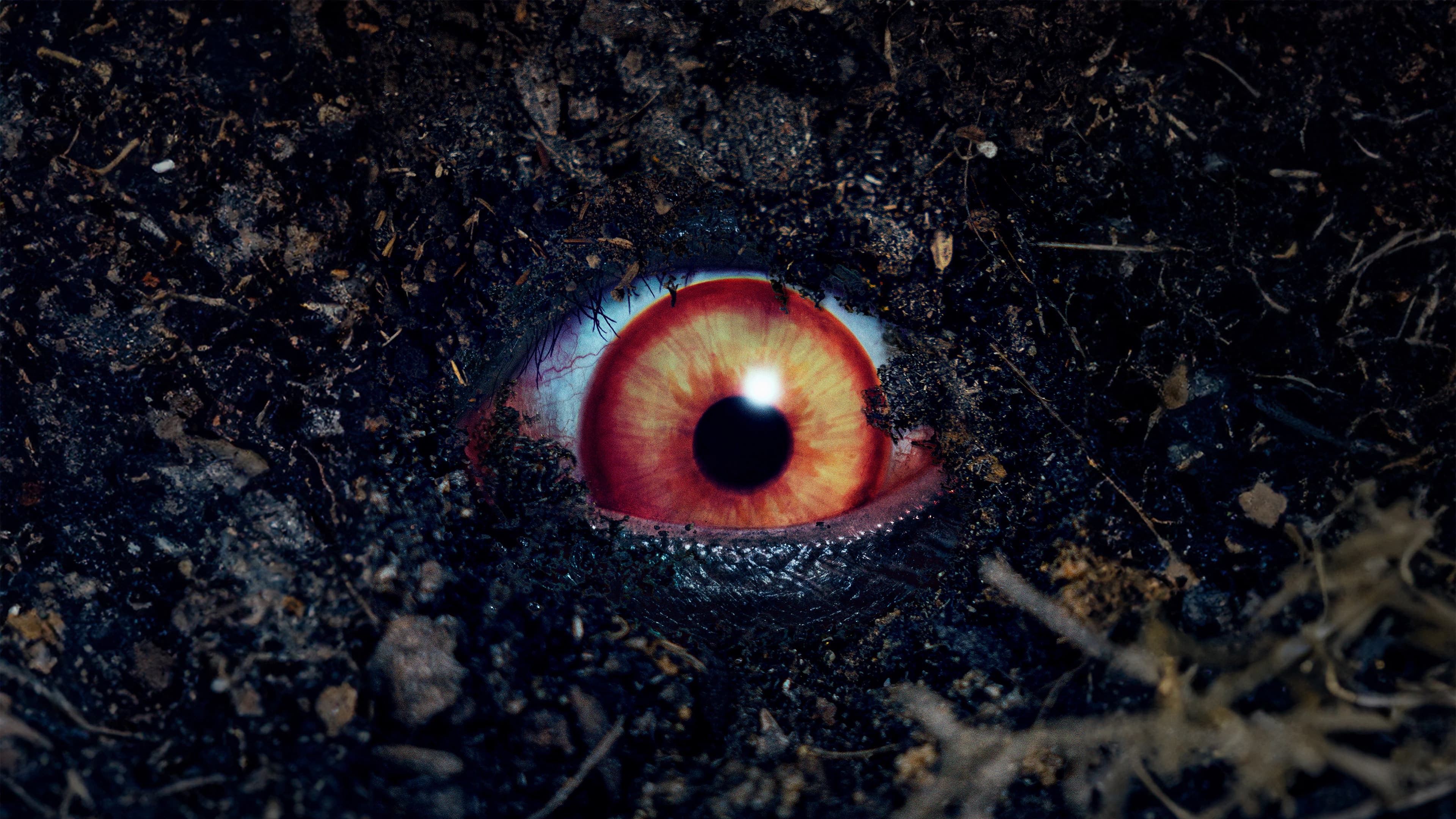 The Forbidden Play Backdrop