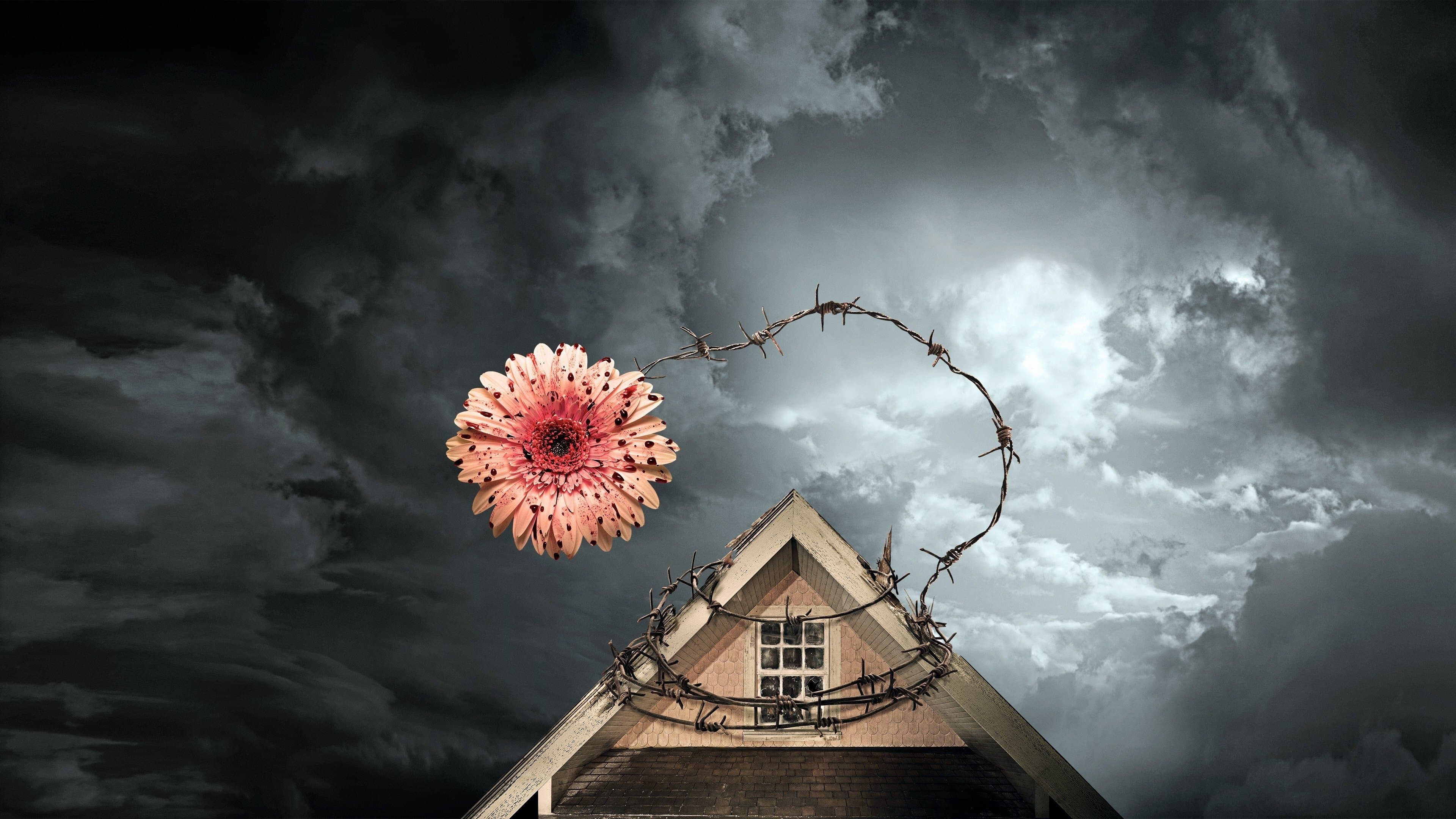 Petals on the Wind Backdrop