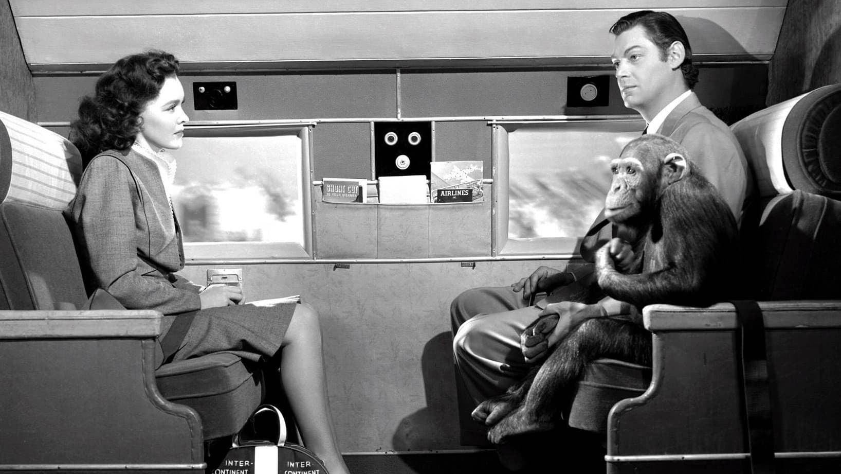 Tarzan's New York Adventure Backdrop