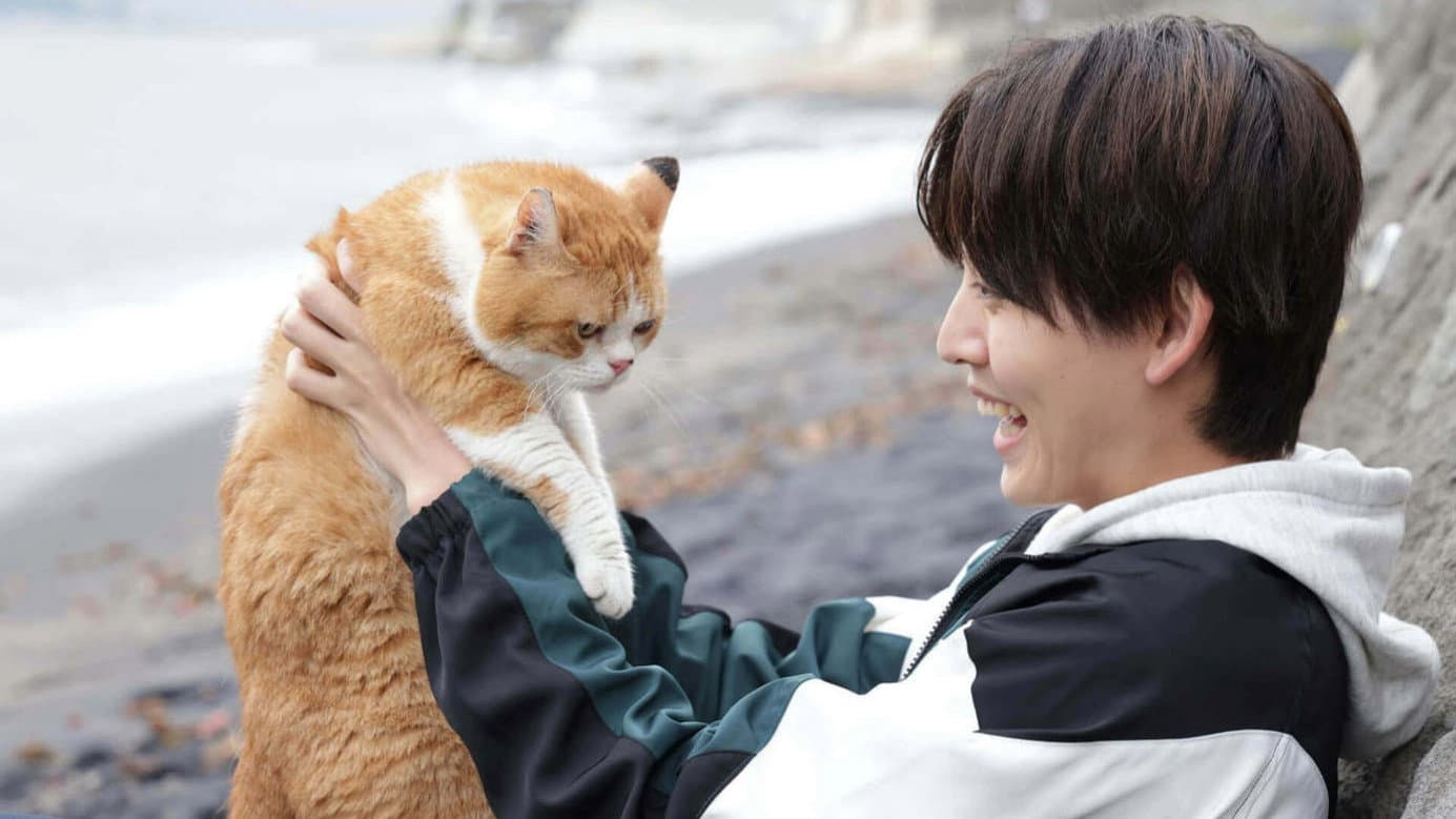 NEKOMIMI - Seaside Pet Detective - Backdrop