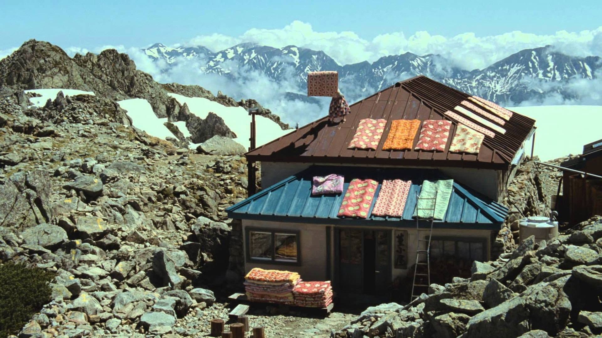 Climbing to Spring Backdrop