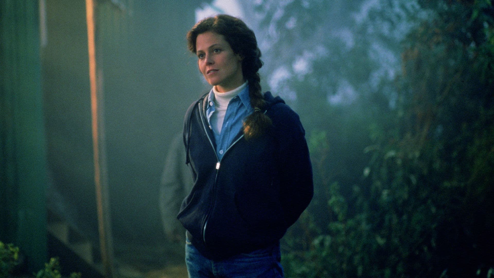 Gorillas in the Mist Backdrop