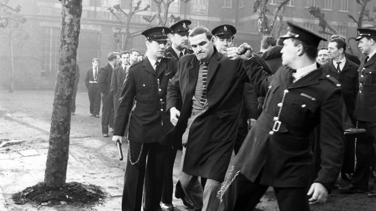 The Criminal Backdrop