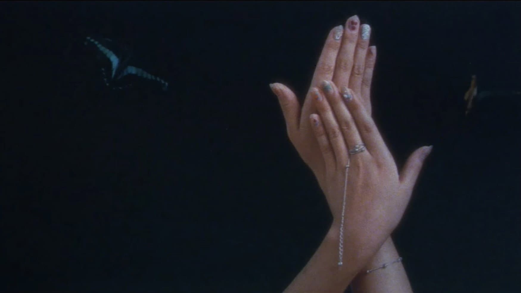 Butterfly Web Backdrop