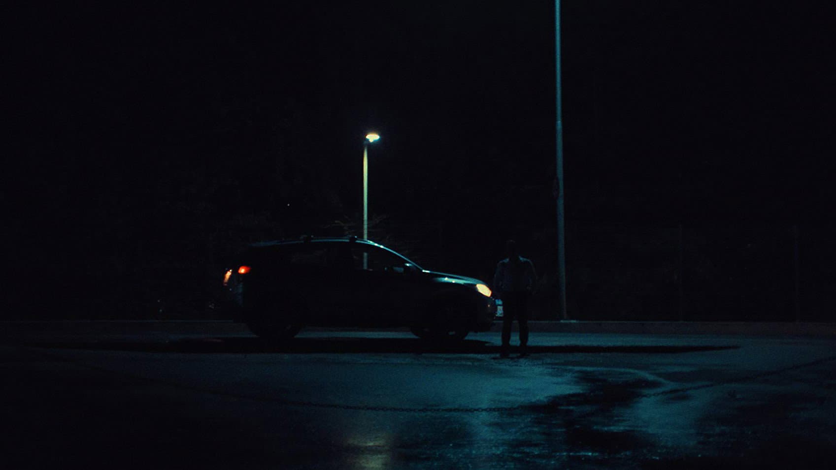 The King Crab Backdrop