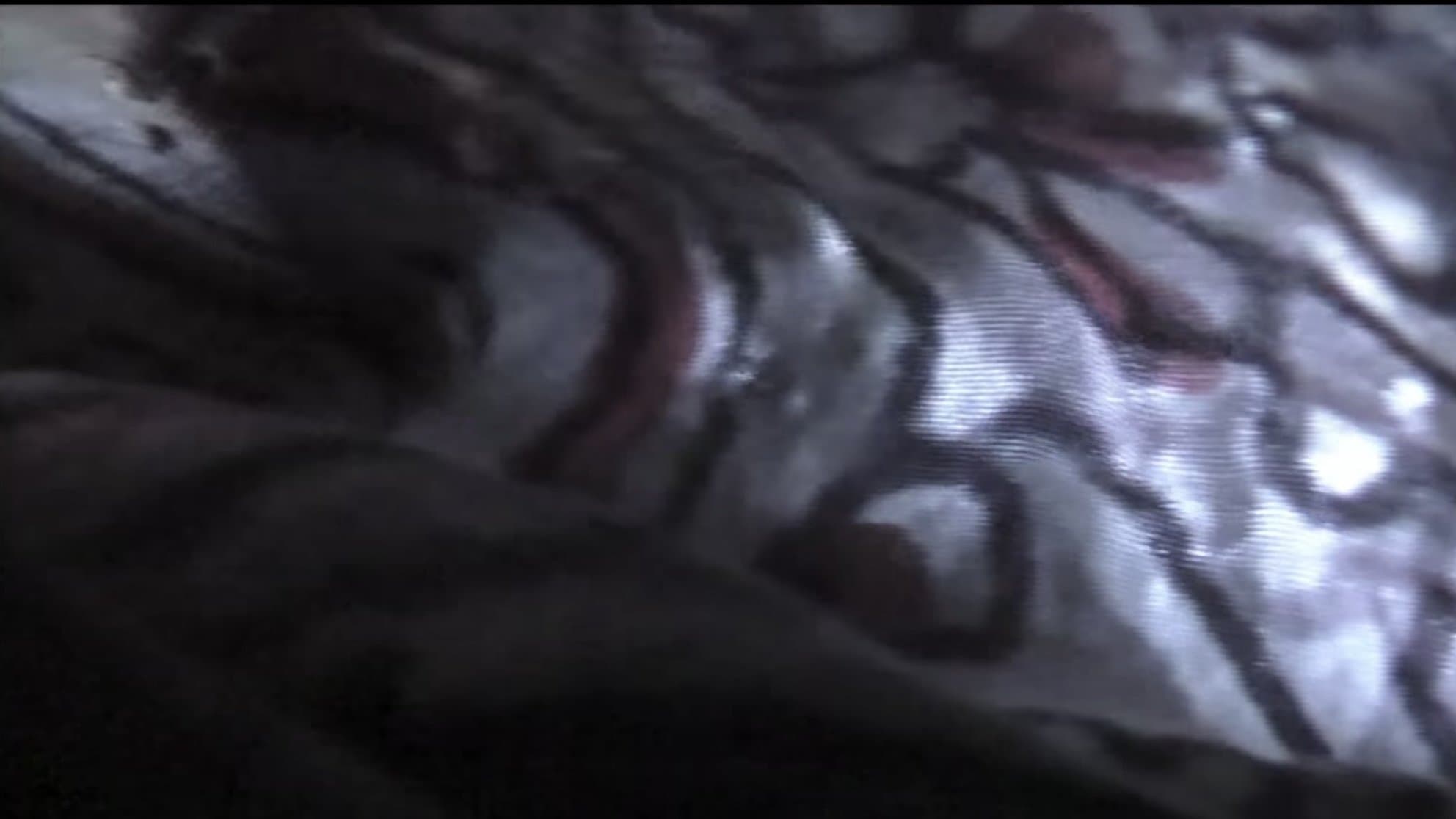 Venice 70: Future Reloaded Backdrop