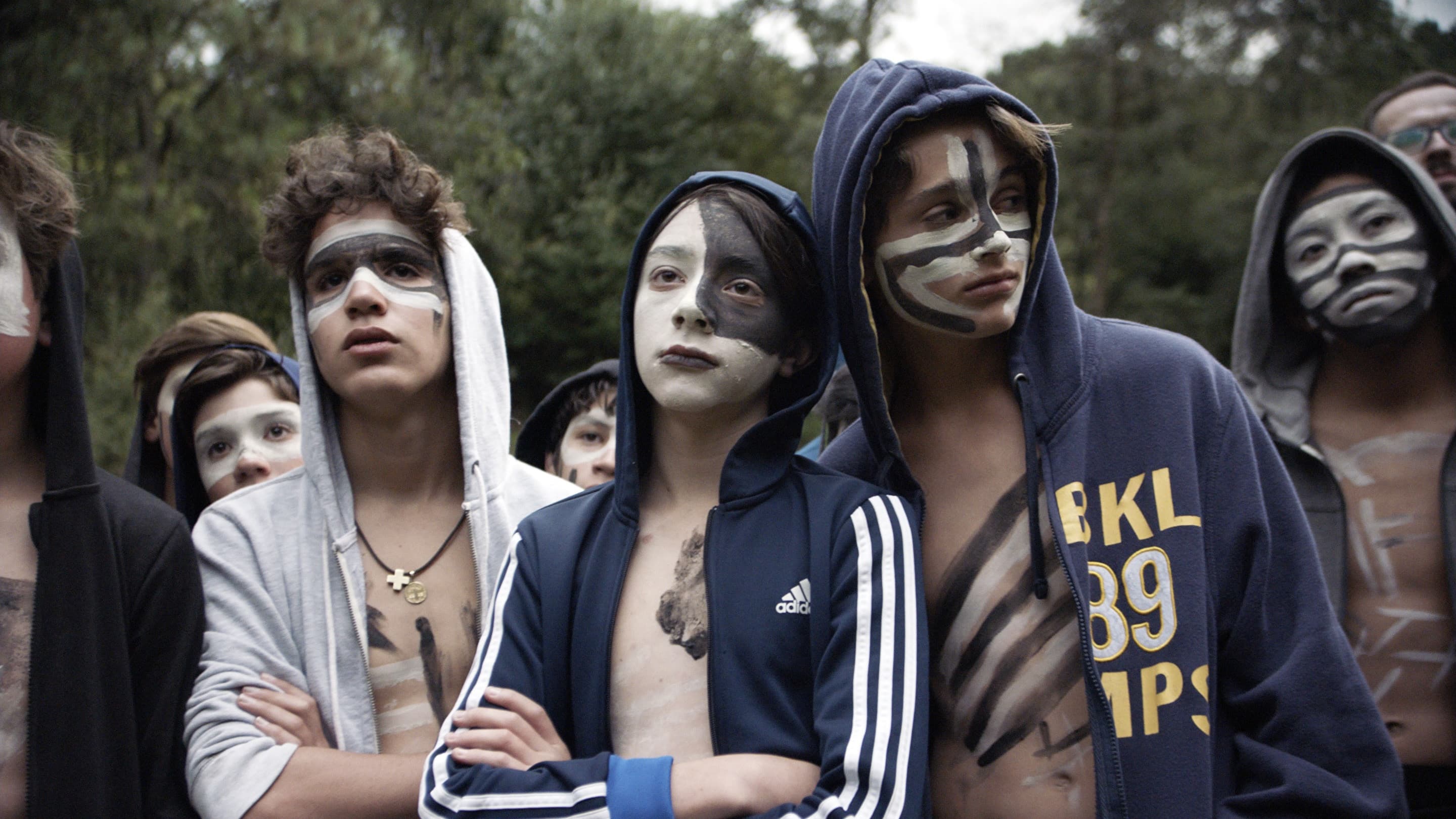 The Hole in the Fence Backdrop