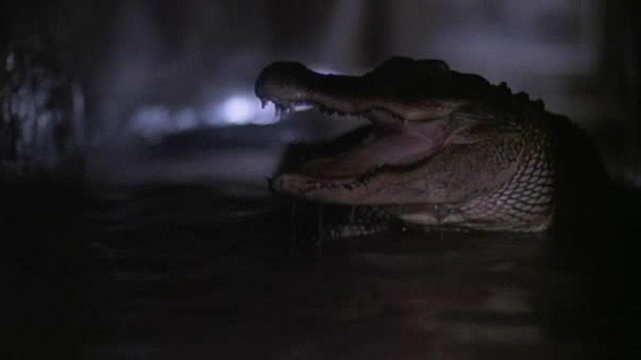 Alligator 2: The Mutation Backdrop