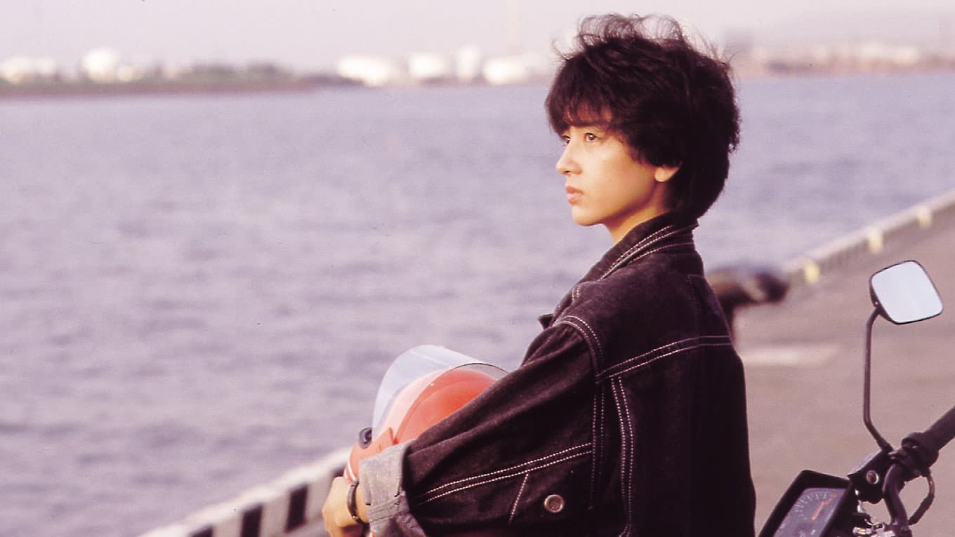 Someday, Someone Will Be Killed Backdrop