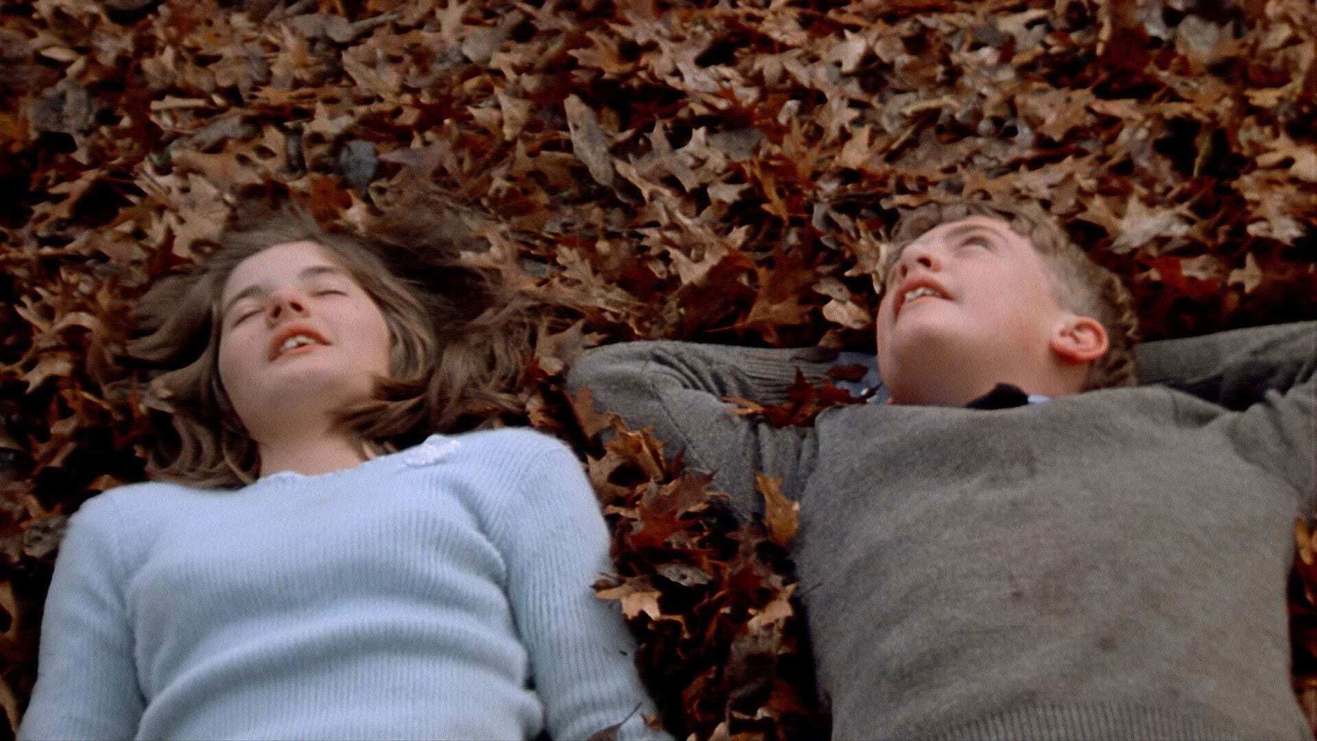 The Devil's Playground Backdrop