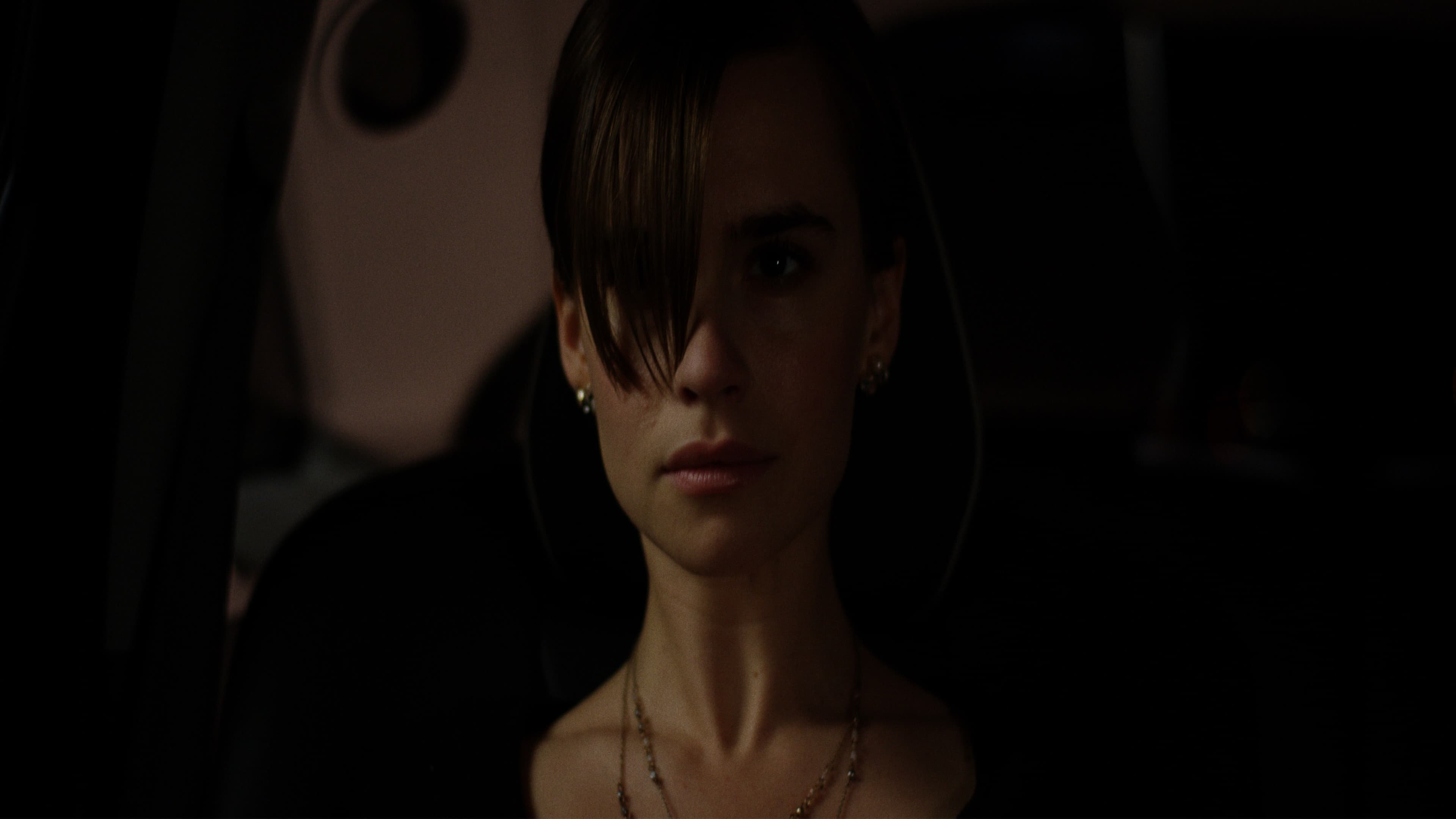 The Two Hundred Fifth Backdrop