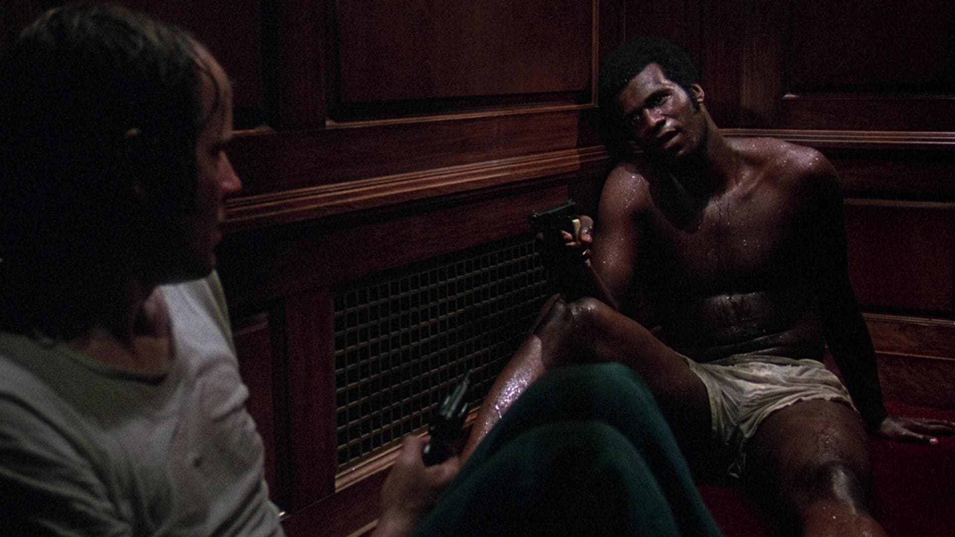 Report to the Commissioner Backdrop