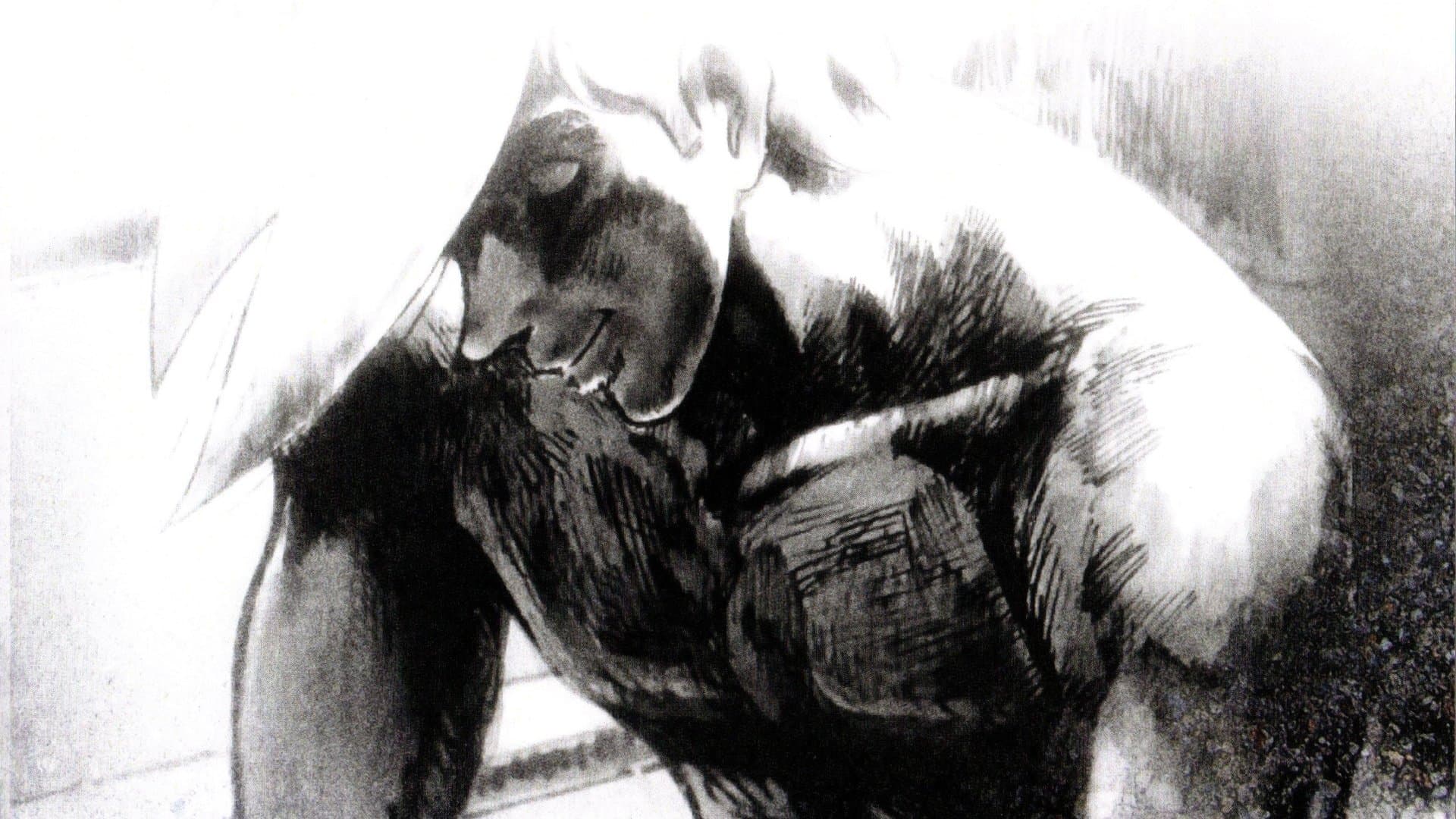 Tomorrow's Joe 2: The Movie Backdrop