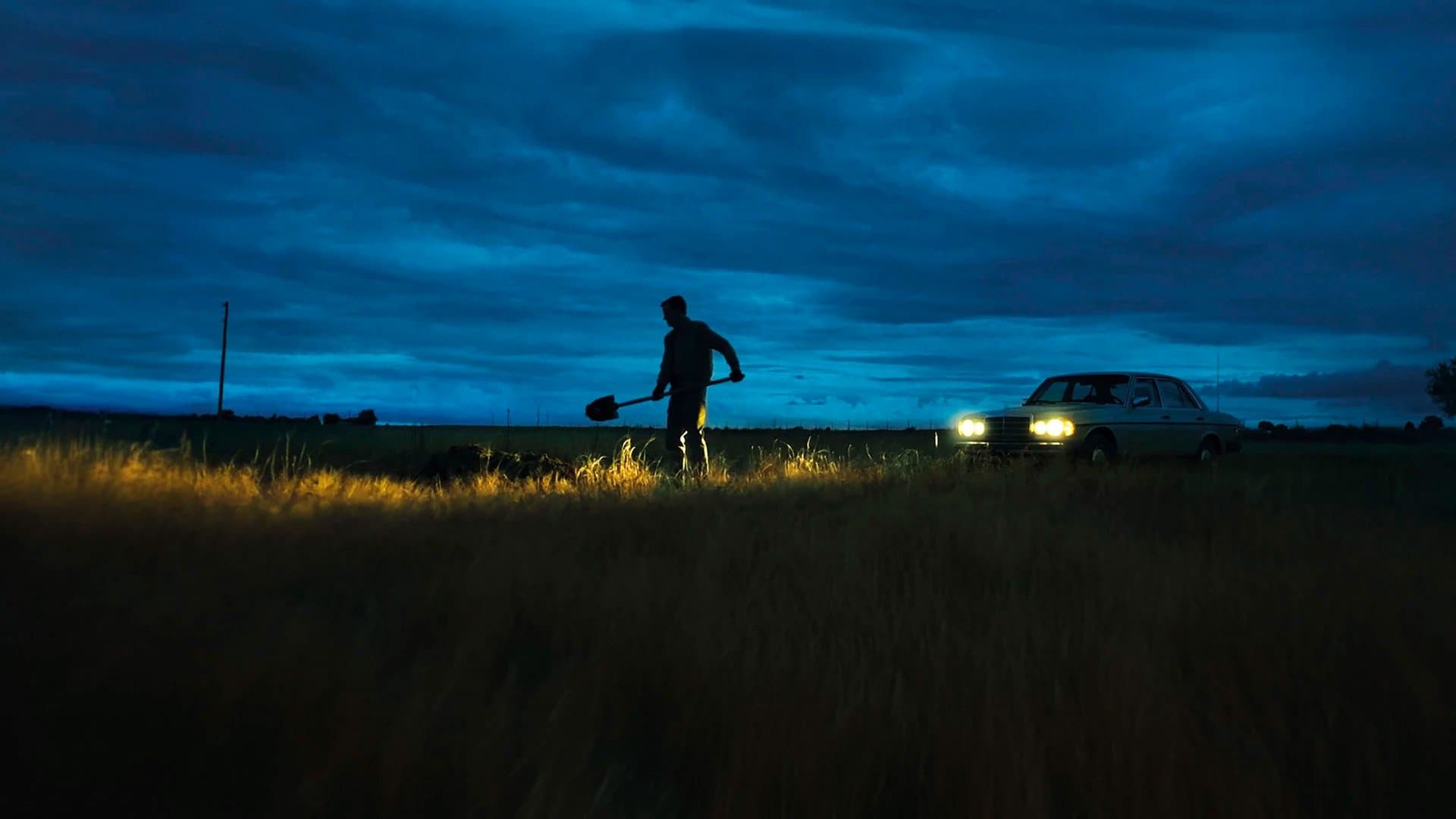 LaRoy, Texas Backdrop