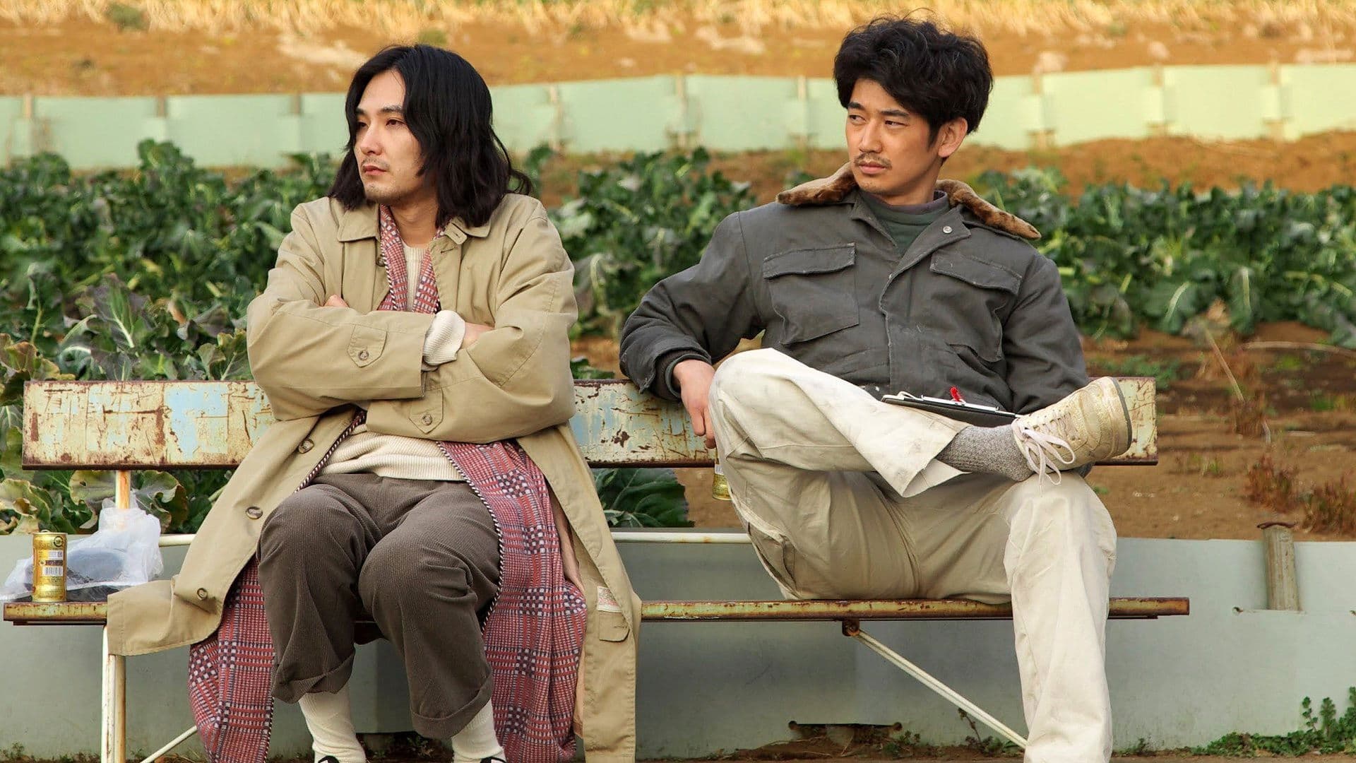 Disconcerto Backdrop