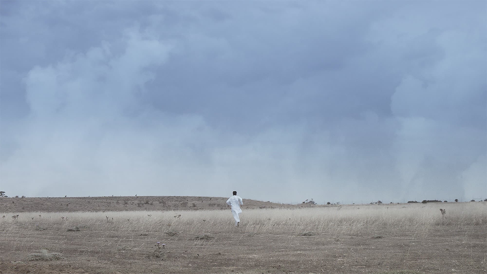 Ahmad's Garden Backdrop