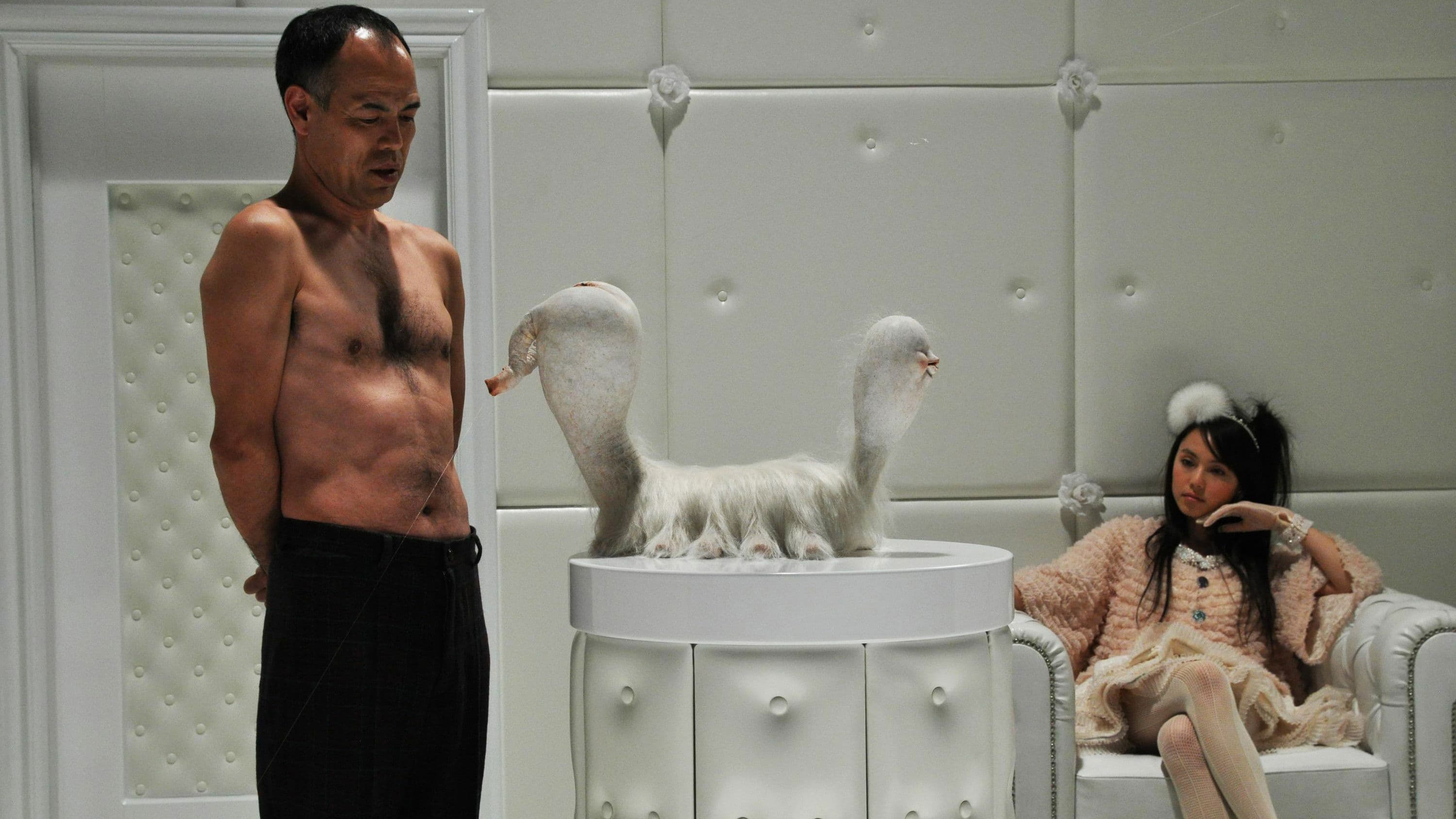 The Warped Forest Backdrop