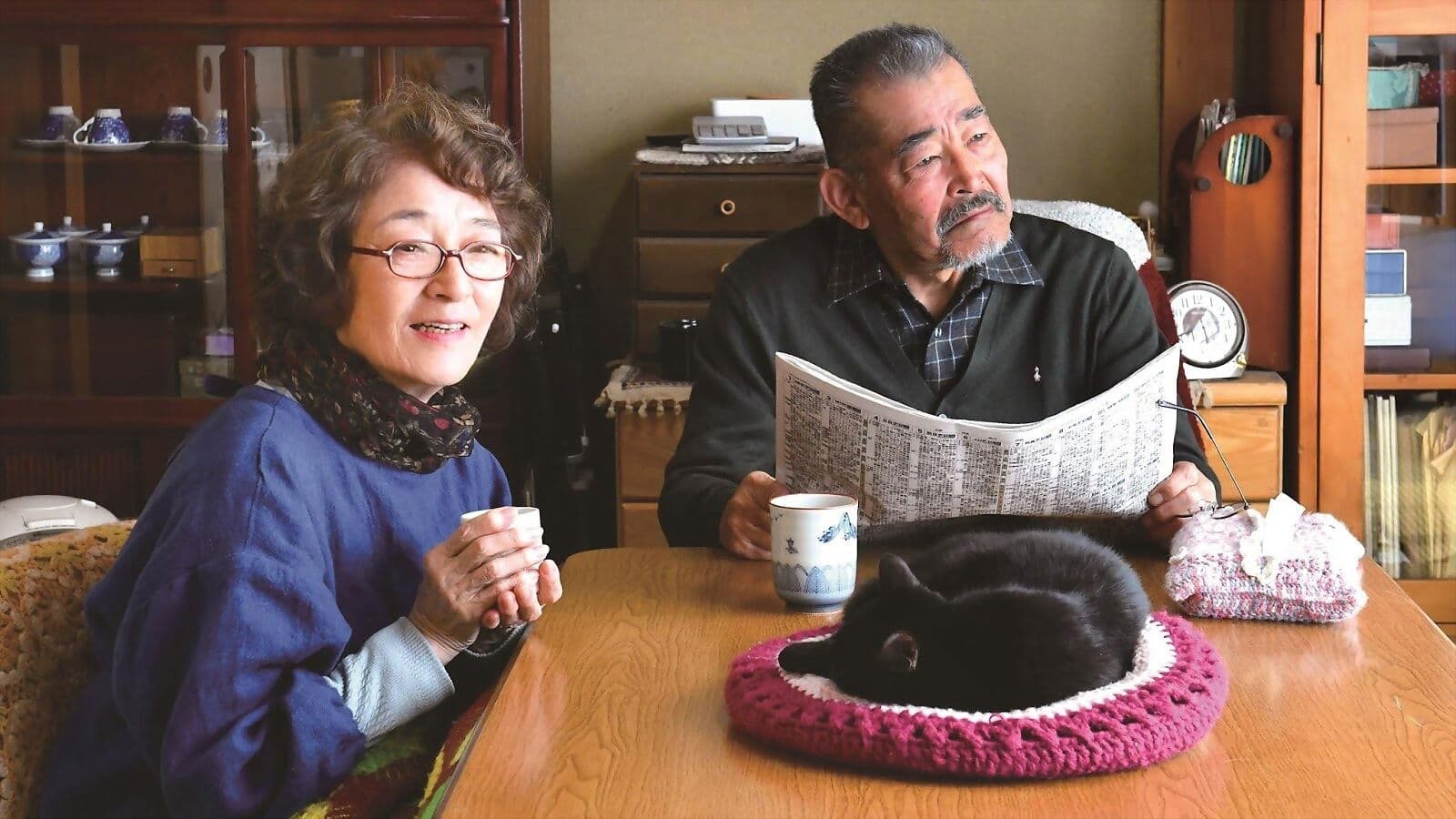 Only the Cat Knows Backdrop