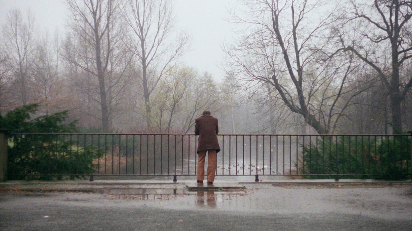 Far from Home Backdrop