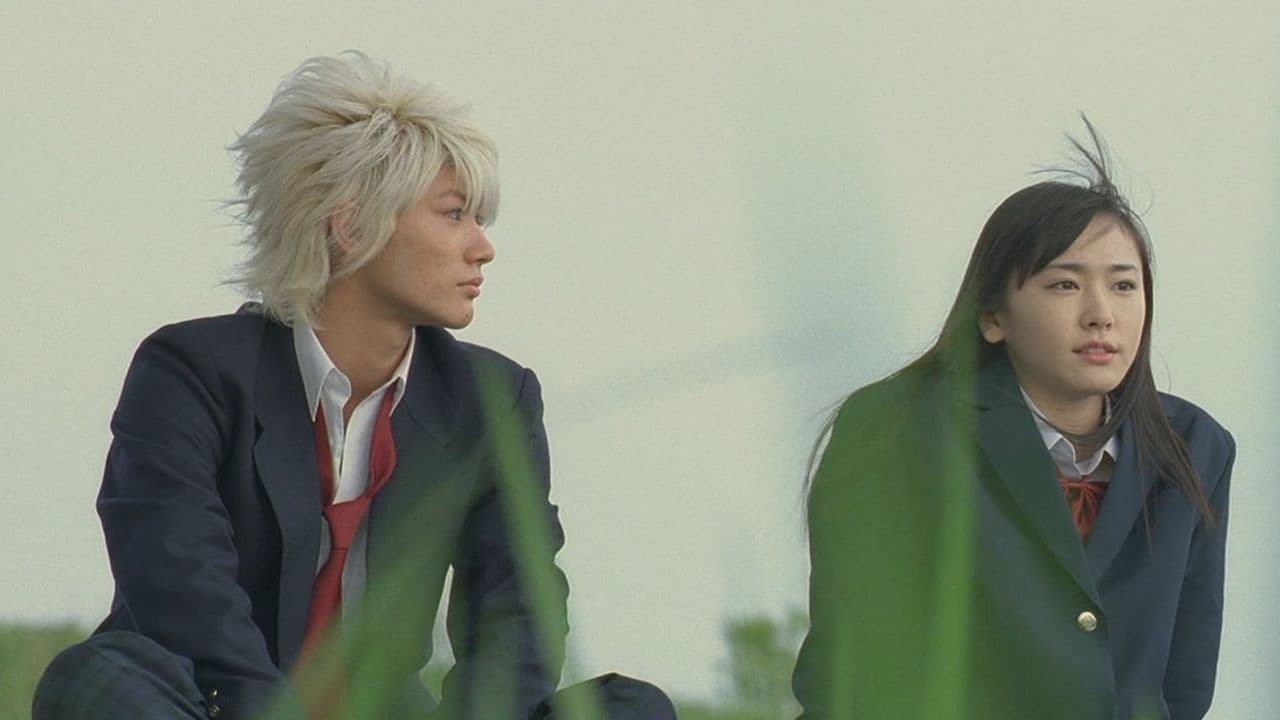 Sky of Love Backdrop