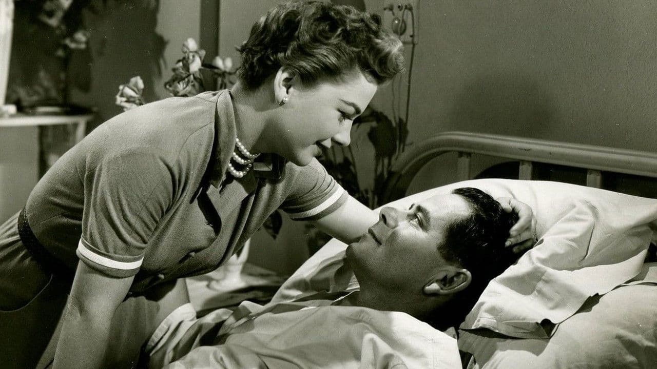 Follow the Sun Backdrop