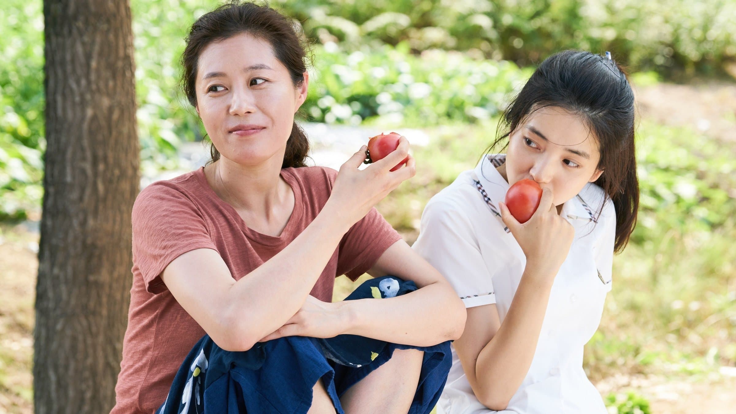 Little Forest Backdrop