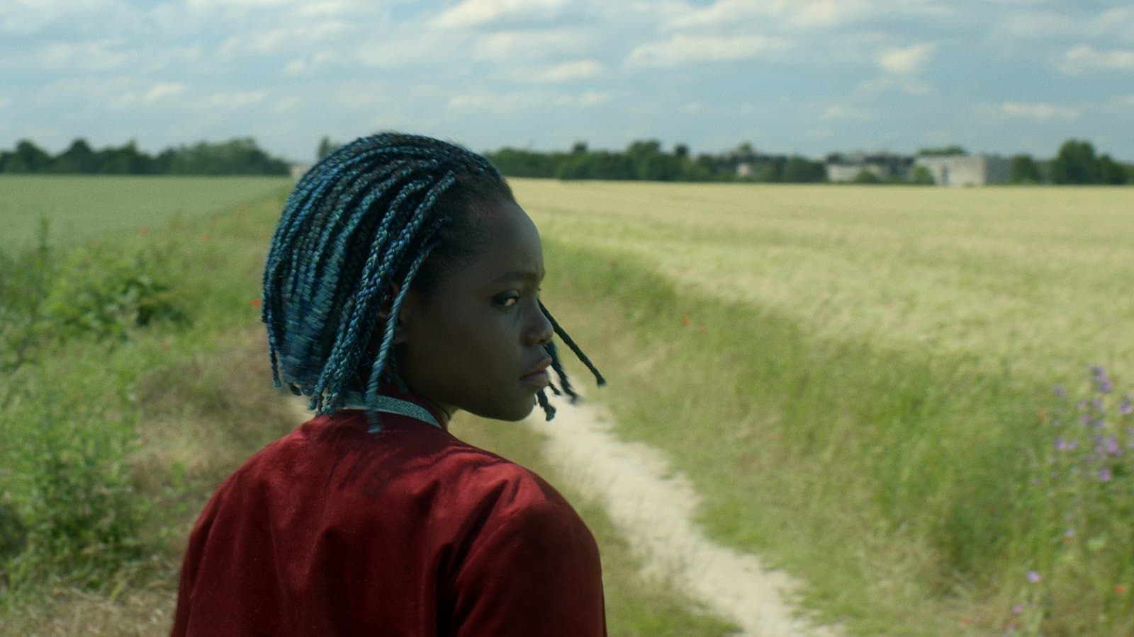 The Horizon Backdrop