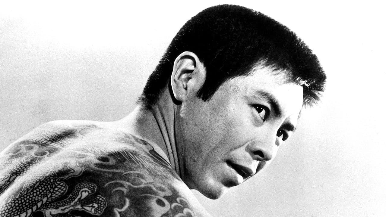 Code Between Brothers Backdrop