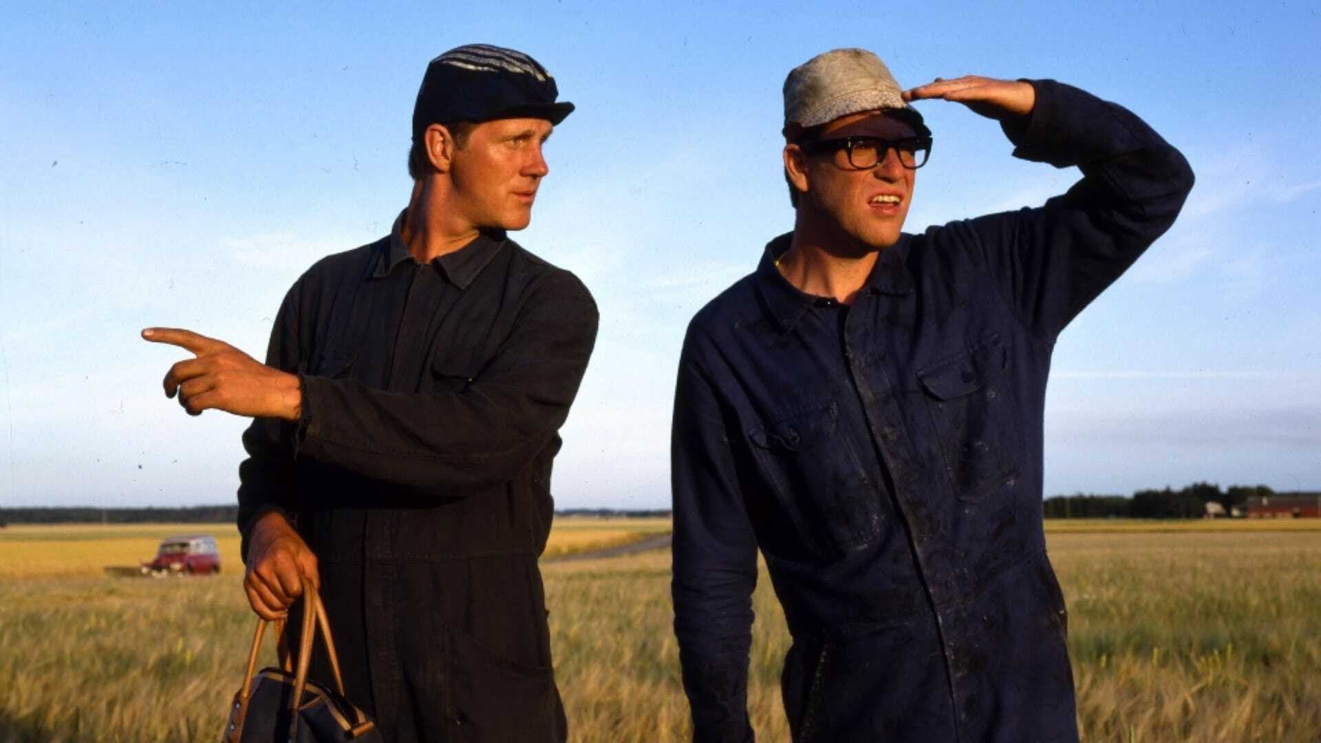 Macken - Roy's & Roger's Bilservice Backdrop