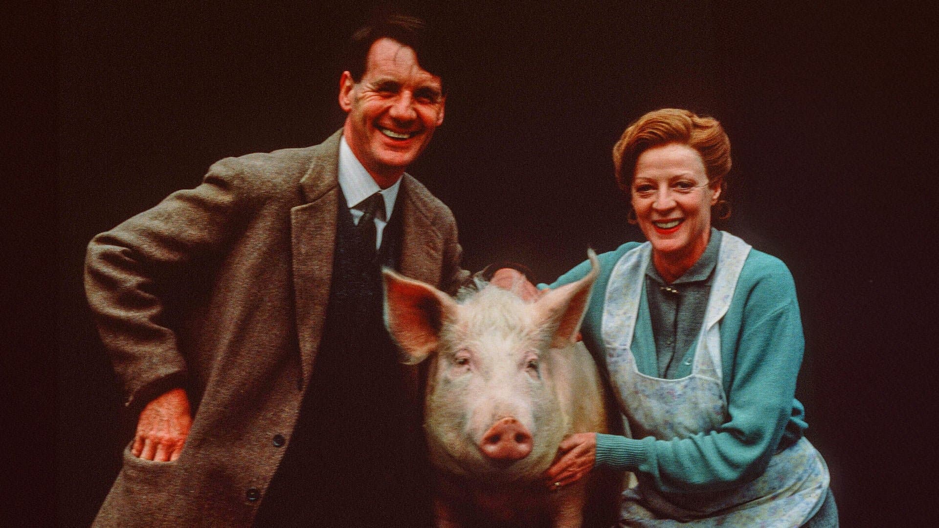 A Private Function Backdrop