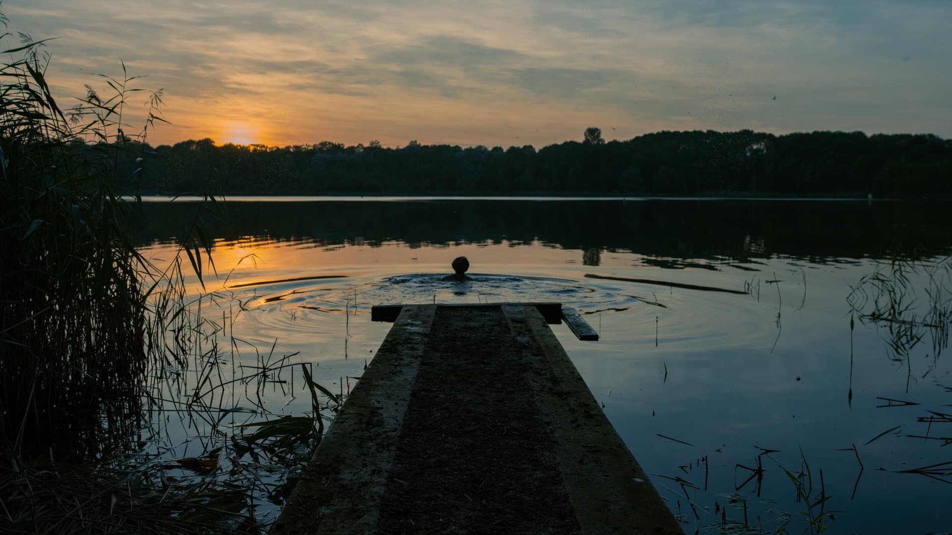 Fifty-Four Days Backdrop