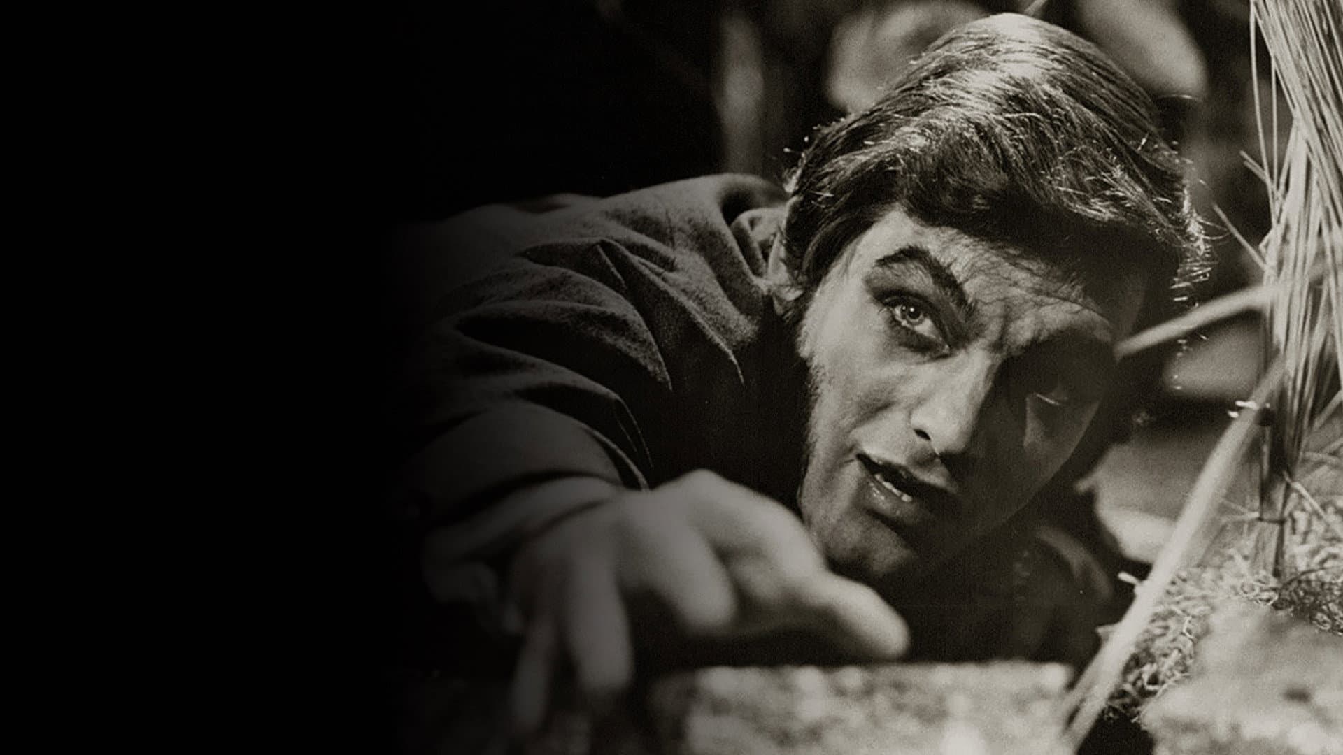 Dark Shadows: The Haunting of Collinwood Backdrop