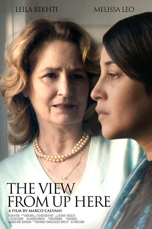 The View from Up Here Poster