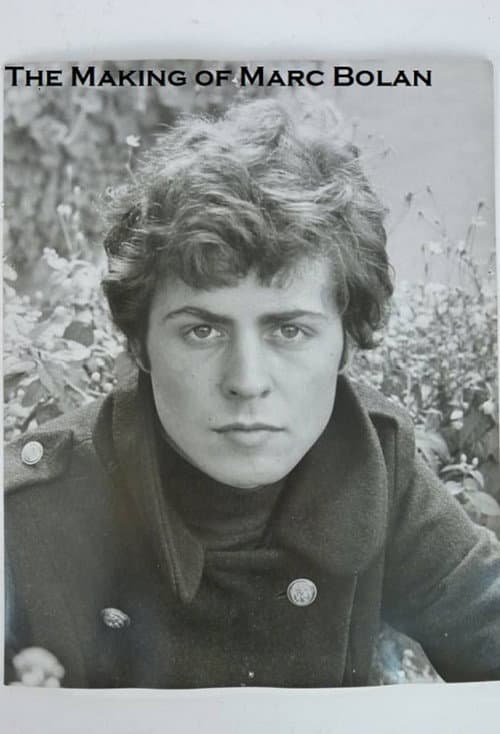 The Making of Marc Bolan Poster