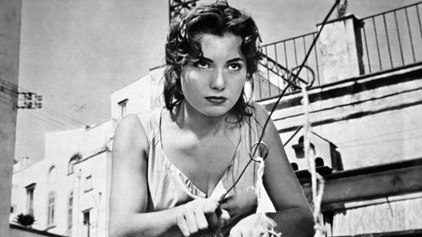 The Challenge Backdrop