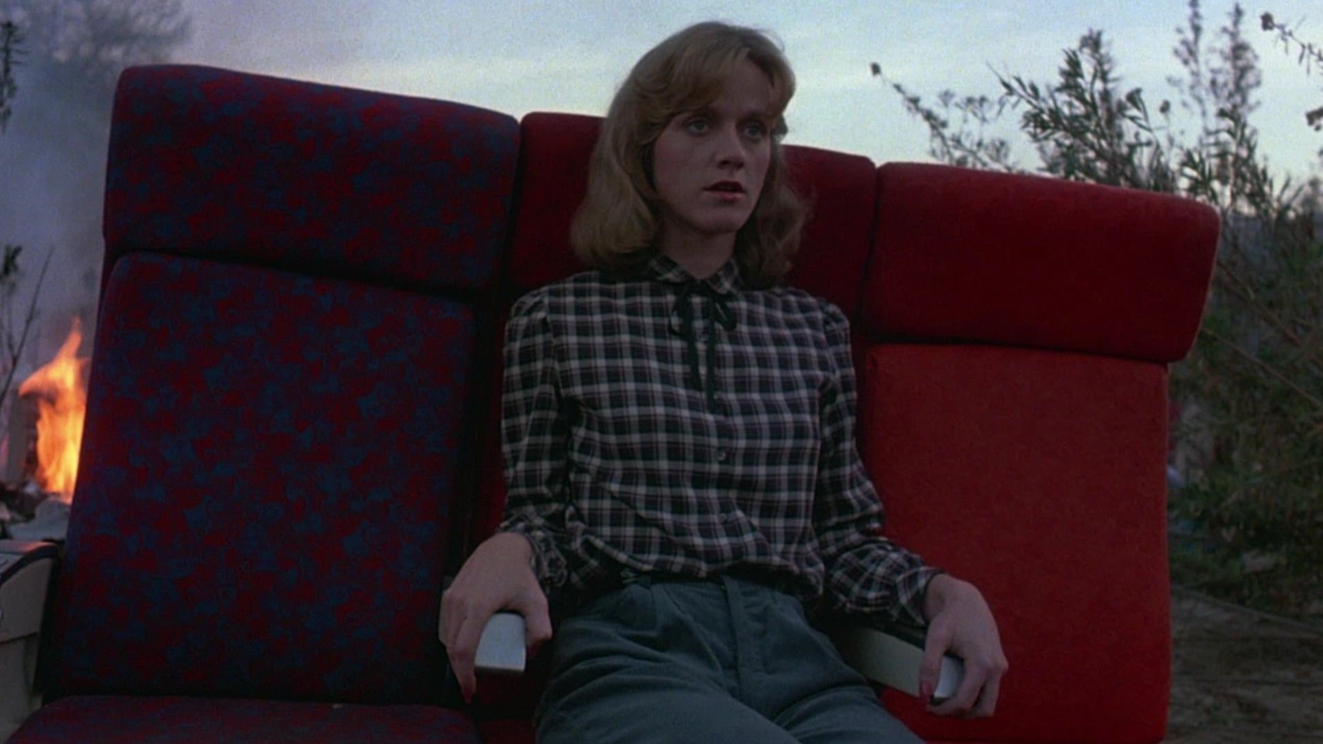 Sole Survivor Backdrop