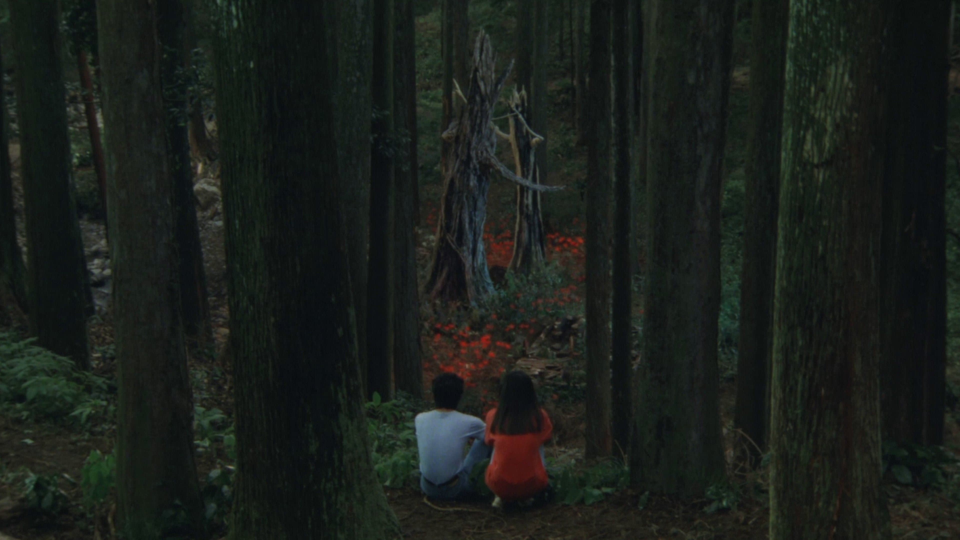 Rhapsody in August Backdrop